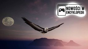 Nowości w Encyklopedii Gier