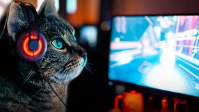 7 rodzajów klientów, których spotkacie w kafejce internetowej w 2019 roku