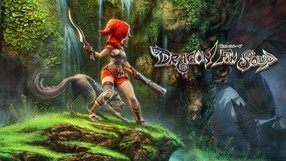 Dragon Fin Soup