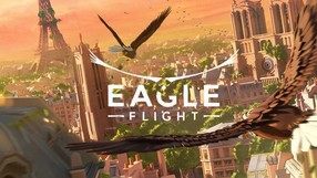 Eagle Flight