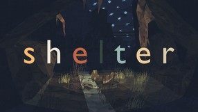 Shelter