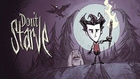 Don't Starve