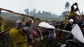 Jeden Holender po prostu stworzył własne Mount and Blade i od trzech lat je aktualizuje, mimo że niemal nikt w to nie gra