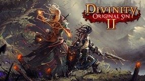 Divinity: Original Sin II