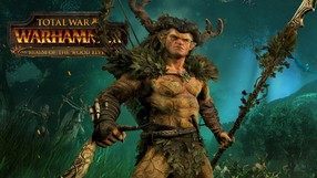 Total War: Warhammer - Realm of The Wood Elves