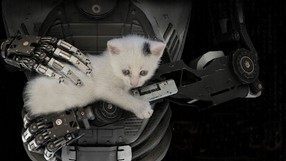 The Talos Principle - Logiczne