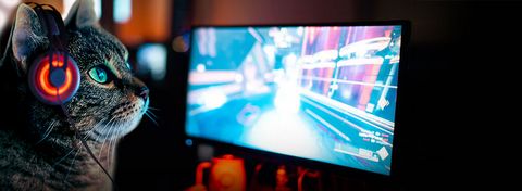 7 rodzajów klientów, których spotkacie w kafejce internetowej w 2019 roku