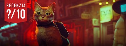 Recenzja gry Stray - z kotami to i cyberpunk słodki