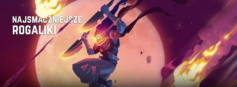 16 smacznych rogali, czyli najlepsze gry roguelike na PC i konsole