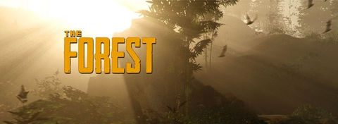 The Forest, czyli survival horror w otwartym świecie
