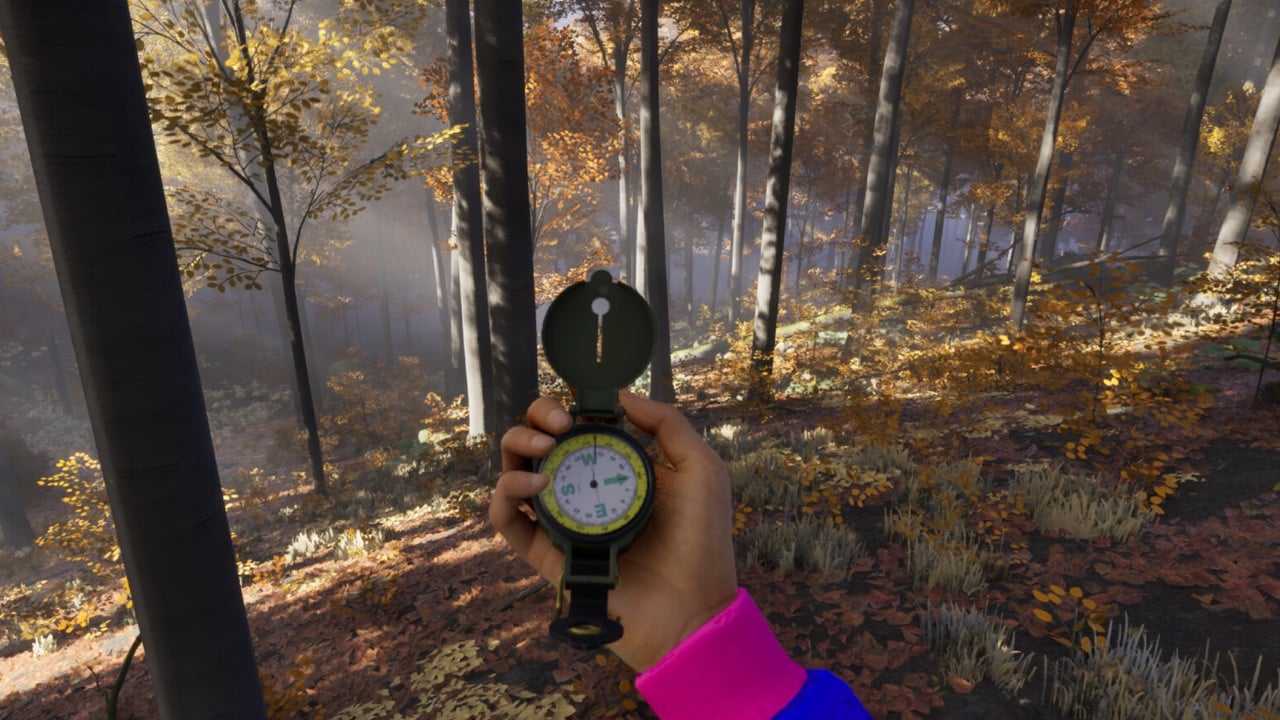 Survival z wielkim, otwartym światem zaczął powstawać „bez konkretnego planu”, a twórcy nie wiedzieli, czy ma sens. Oto ile potrwa early access Prologue: Go Wayback!