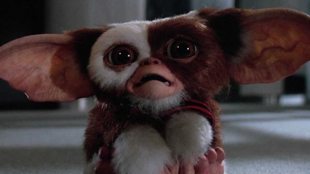 Gremliny 3 nadchodzą i mają datę premiery. Chris Columbus i Steven Spielberg po 37 latach powrócą w nowej odsłonie kultowej serii