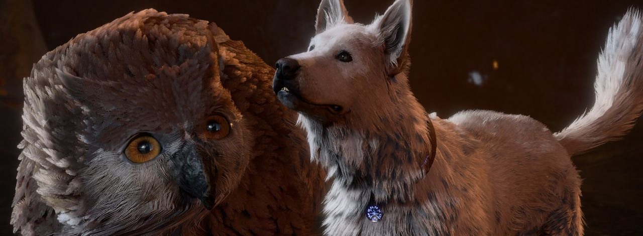 Gracz popełnił najbardziej bolesny błąd w Baldur's Gate 3. Chciał wykorzystać smutny los jednej z postaci i słono za to zapłacił