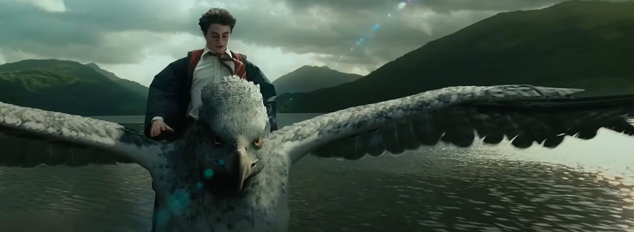Harry Potter spotyka Opowieści z Narnii: Disney chce przenieść do kin popularną serię fantasy