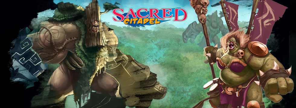 Sacred Citadel