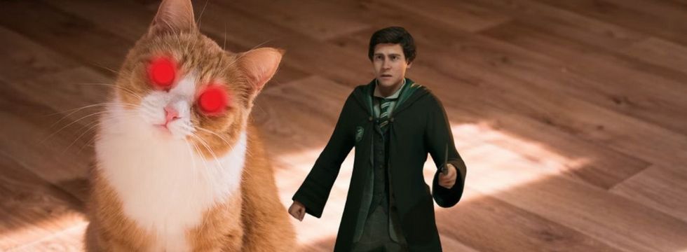 Twórcy ostrzegają: koty w Hogwarts Legacy mogą stać się śmiertelnym zagrożeniem