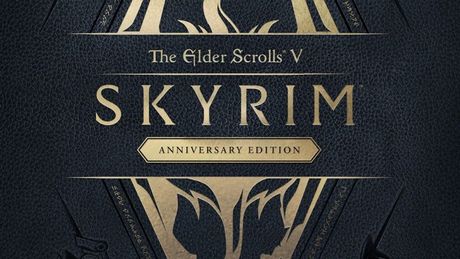 The Elder Scrolls V: Skyrim Anniversary Edition - Enhanced Character Edit AE v.1.596