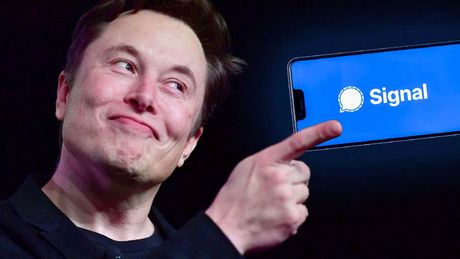 Elon Musk poleca Signal, dlaczego warto go posłuchać