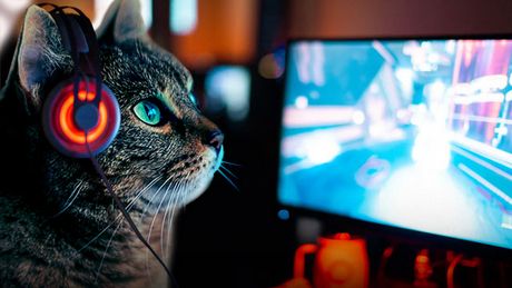 7 rodzajów klientów, których spotkacie w kafejce internetowej w 2019 roku