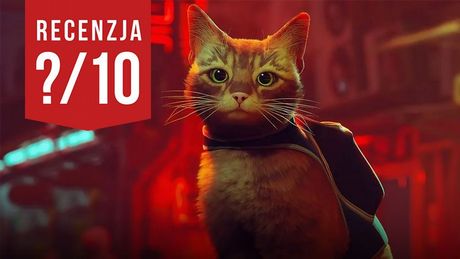 Recenzja gry Stray - z kotami to i cyberpunk słodki