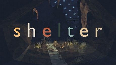 Shelter
