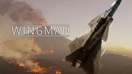 Project Wingman - Save z poziomu trudności Mercenary