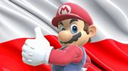 Nintendo szuka specjalisty od języka polskiego