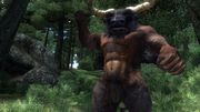Oblivion Remastered wycieka do sieci
