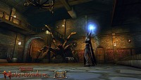 Neverwinter otrzyma polską wersję językową – premiera latem 2013 roku