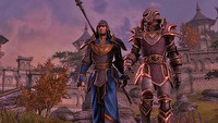 The Elder Scrolls Online – twórcy zdradzają kolejne szczegóły dotyczące PvP, wyposażenia i surowców