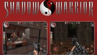 Polacy z Flying Wild Hog robią nową odsłonę Shadow Warrior?