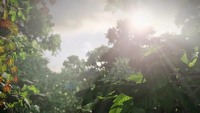 Wieści ze świata (The Last of Us, Project Spark, Heavy Gear Assault) 24/6/13