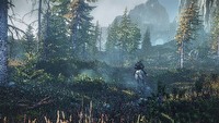 Strukturze świata w Wiedźminie 3 będzie bliżej do serii Gothic niż The Elder Scrolls
