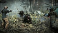 Zapowiedziano Nether - survivalowego FPS-a w stylu DayZ