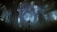 Wiedźmin 3: Dziki Gon - opublikowano nowe screeny