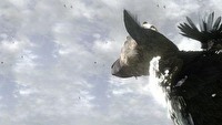 The Last Guardian ciągle w produkcji, ale twórcy mają inne priorytety