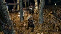 Dark Souls II – wyciekły dwa filmy z wersji beta, 25 minut nowej lokacji