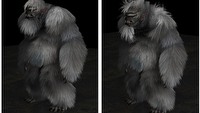 Dynamic Fur od firmy Nvidia to teraz HairWorks. Z technologii skorzystają także posiadacze kart AMD