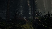 The Forest w wersji alfa niedługo na Steamie – wysyp nowych screenów