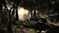 The Vanishing of Ethan Carter - screen i klipy wideo prezentują roślinność w grze