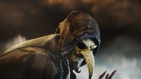Fable Legends bez otwartego świata. Lionhead Studios odpowiada na pytania społeczności