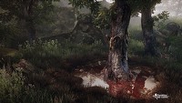 The Vanishing of Ethan Carter – ujawniono sporo nowych informacji o grze