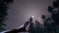 The Forest debiutuje dziś w Steam Early Access