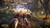 Wiedźmin 3: Dziki Gon - data premiery, nowy gameplay i informacje o edycji kolekcjonerskiej