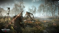 Wiedźmin 3: Dziki Gon – CD Projekt chce sprzedać w Polsce 150-200 tys. egzemplarzy gry