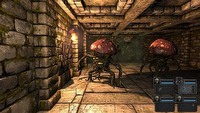 Legend of Grimrock sprzedany w ponad 900 tysiącach egzemplarzy