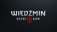 Wiedźmin 3: Dziki Gon – znamy oficjalne wymagania sprzętowe