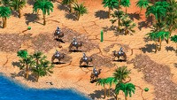 Age of Empires II: HD Edition otrzyma drugi dodatek