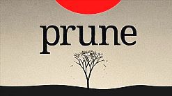 Prune najlepszą grą roku według magazynu TIME