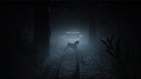 Outlast II na pierwszym zapisie rozgrywki